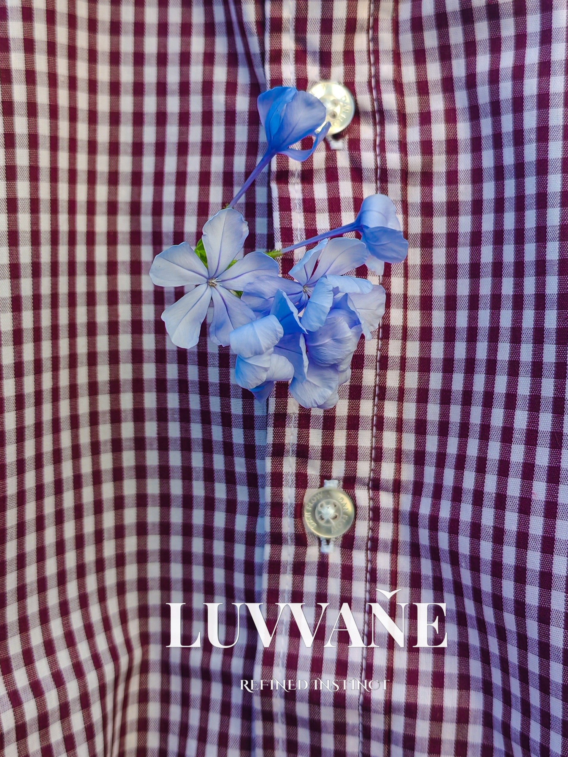 Classic Gingham